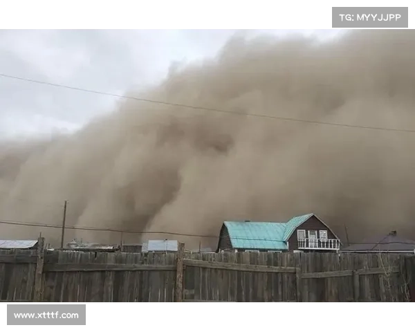 小麦国家队崭露头角 星光熠熠的未来与无限可能