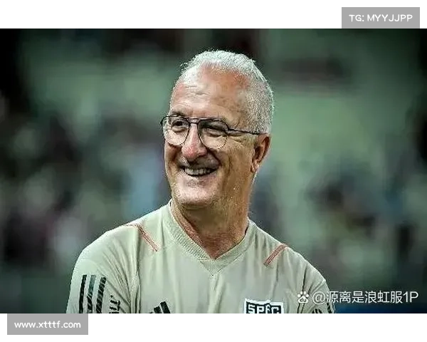 巴西联赛新赛季球迷期待分析与互动活动趋势探讨